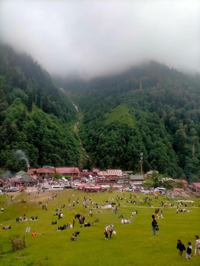 Ayder Yardimci Apart المظهر الخارجي الصورة